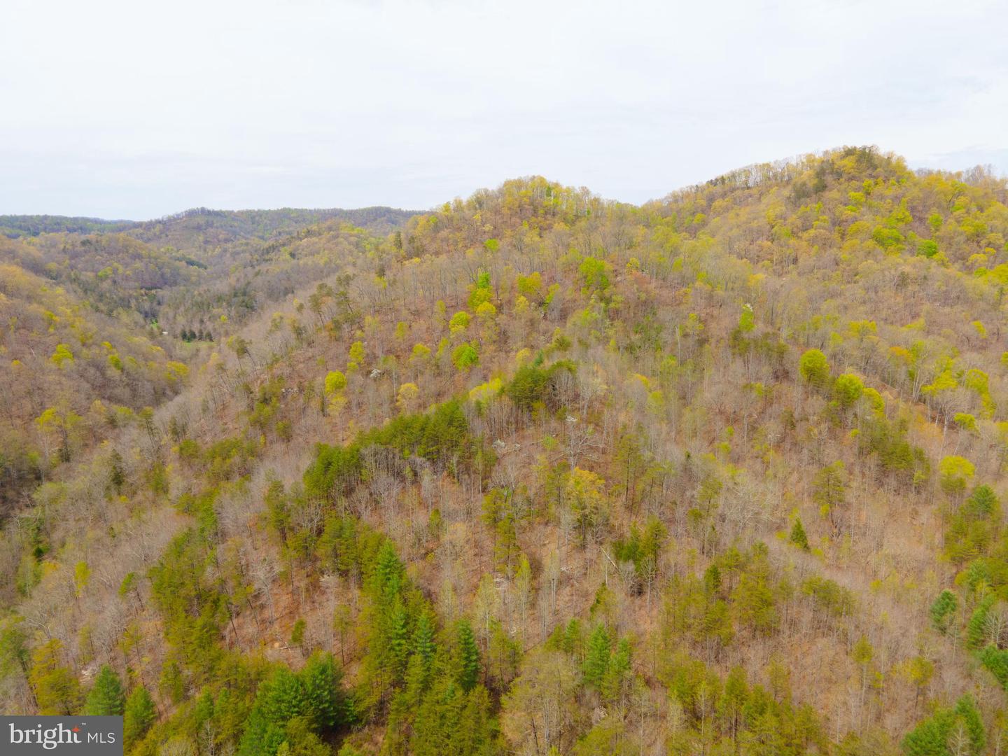 0 FAIRVIEW RD, BLACKWATER, Virginia 24221, ,Land,For sale,0 FAIRVIEW RD,VALE2000012 MLS # VALE2000012