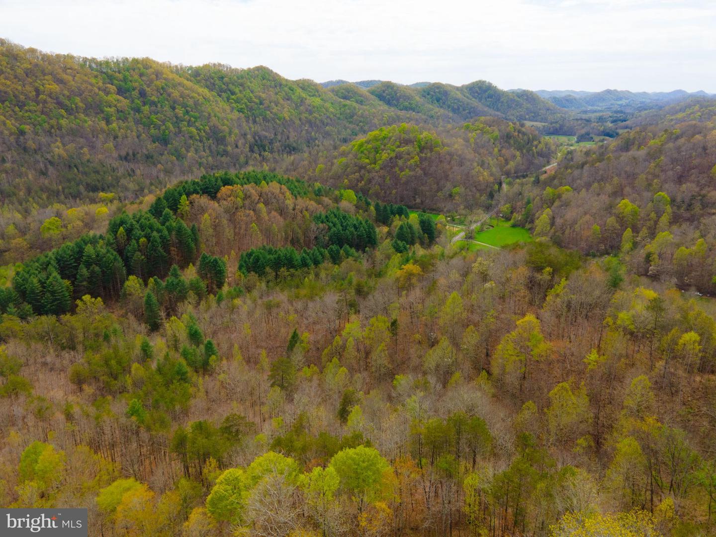 0 FAIRVIEW RD, BLACKWATER, Virginia 24221, ,Land,For sale,0 FAIRVIEW RD,VALE2000012 MLS # VALE2000012