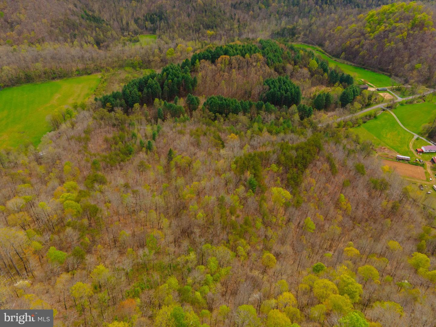 0 FAIRVIEW RD, BLACKWATER, Virginia 24221, ,Land,For sale,0 FAIRVIEW RD,VALE2000012 MLS # VALE2000012