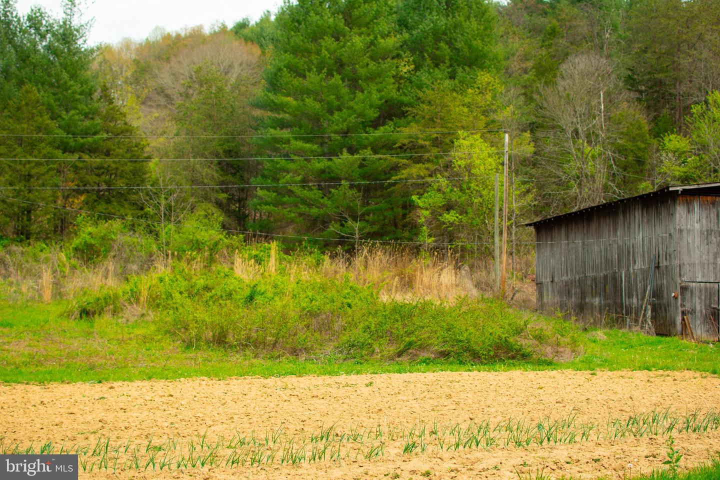 0 FAIRVIEW RD, BLACKWATER, Virginia 24221, ,Land,For sale,0 FAIRVIEW RD,VALE2000012 MLS # VALE2000012