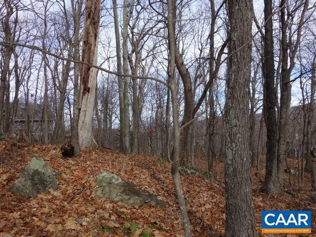 91 SHAMOKIN SPRINGS TRL, WINTERGREEN, Virginia 22958, ,Land,For sale,91 SHAMOKIN SPRINGS TRL,667123 MLS # 667123