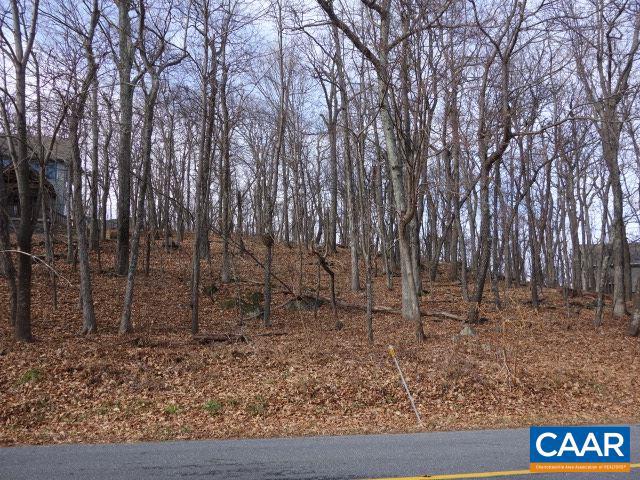 91 SHAMOKIN SPRINGS TRL, WINTERGREEN, Virginia 22958, ,Land,For sale,91 SHAMOKIN SPRINGS TRL,667123 MLS # 667123