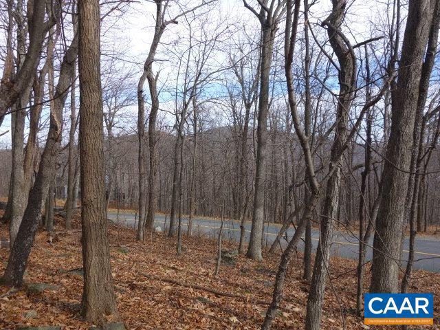 91 SHAMOKIN SPRINGS TRL, WINTERGREEN, Virginia 22958, ,Land,For sale,91 SHAMOKIN SPRINGS TRL,667123 MLS # 667123