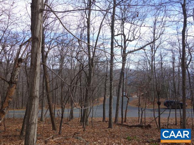 91 SHAMOKIN SPRINGS TRL, WINTERGREEN, Virginia 22958, ,Land,For sale,91 SHAMOKIN SPRINGS TRL,667123 MLS # 667123