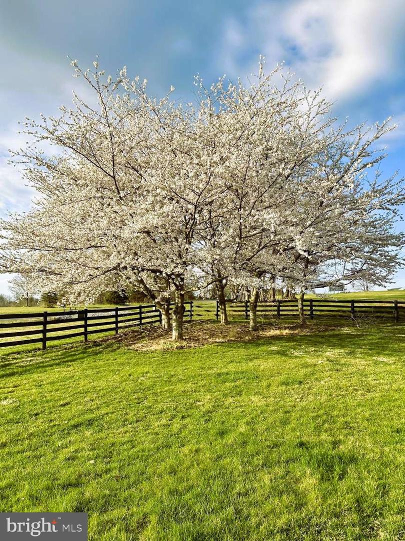 11555 MICA PL, LOVETTSVILLE, Virginia 20180, 4 Bedrooms Bedrooms, 11 Rooms Rooms,3 BathroomsBathrooms,Residential,For sale,11555 MICA PL,VALO2102486 MLS # VALO2102486