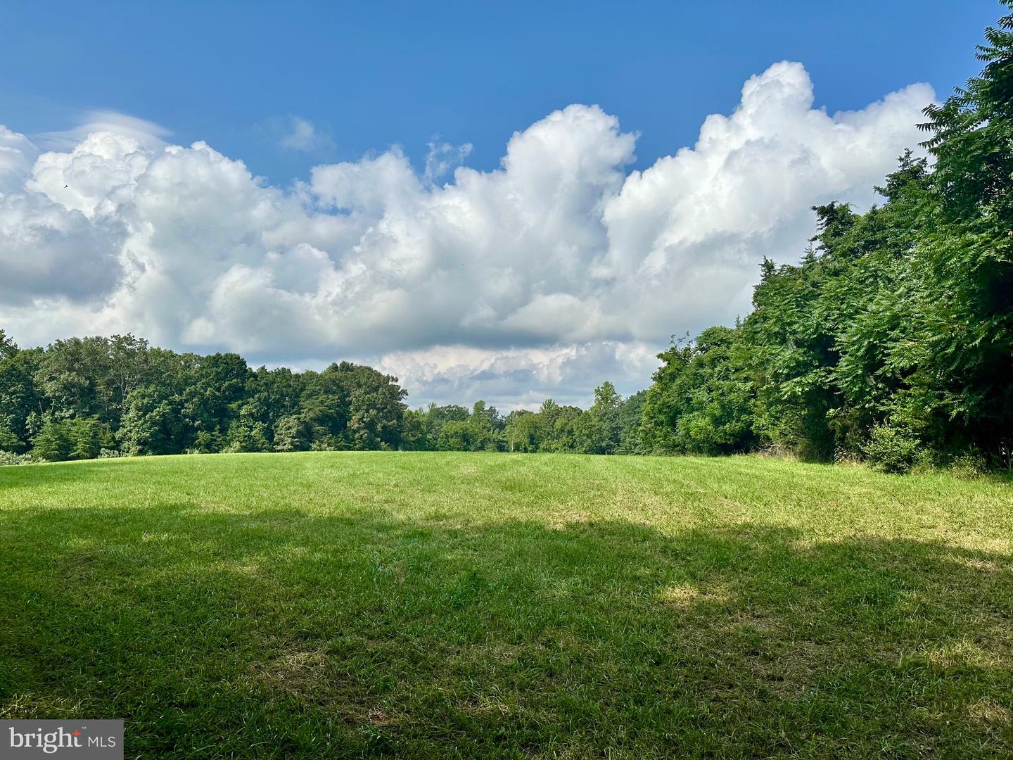 PARCEL 6-22A BLACK HILL RD., RIXEYVILLE, Virginia 22737, ,Land,For sale,PARCEL 6-22A BLACK HILL RD.,VACU2011030 MLS # VACU2011030