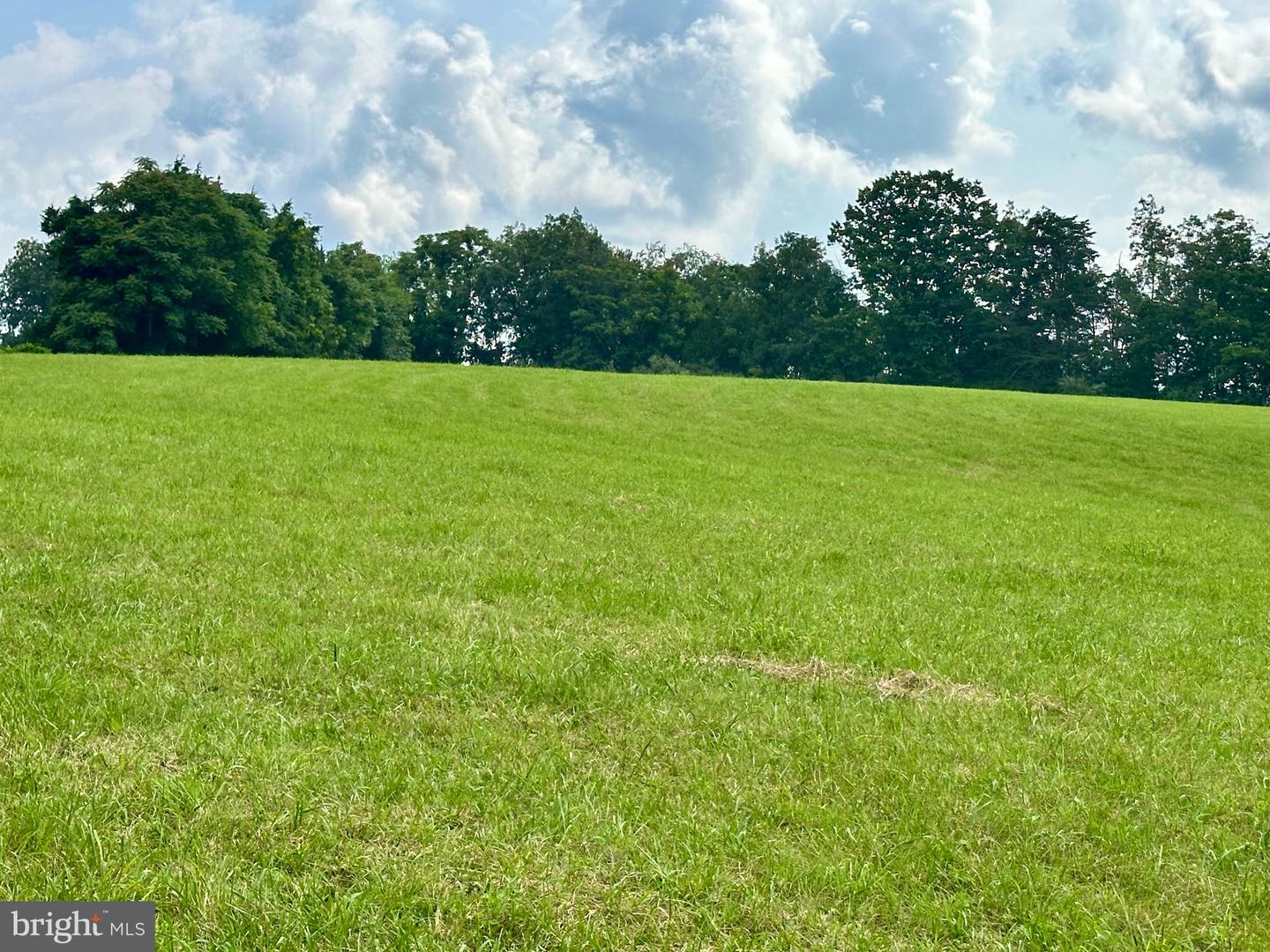 PARCEL 6-22A BLACK HILL RD., RIXEYVILLE, Virginia 22737, ,Land,For sale,PARCEL 6-22A BLACK HILL RD.,VACU2011030 MLS # VACU2011030