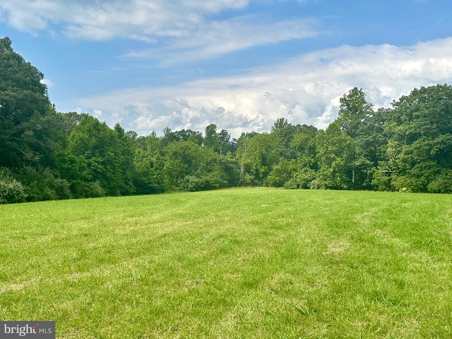 PARCEL 6-22A BLACK HILL RD., RIXEYVILLE, Virginia 22737, ,Land,For sale,PARCEL 6-22A BLACK HILL RD.,VACU2011030 MLS # VACU2011030