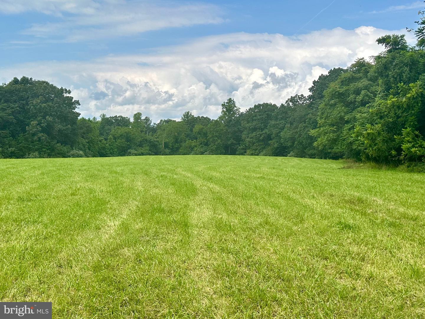 PARCEL 6-22A BLACK HILL RD., RIXEYVILLE, Virginia 22737, ,Land,For sale,PARCEL 6-22A BLACK HILL RD.,VACU2011030 MLS # VACU2011030
