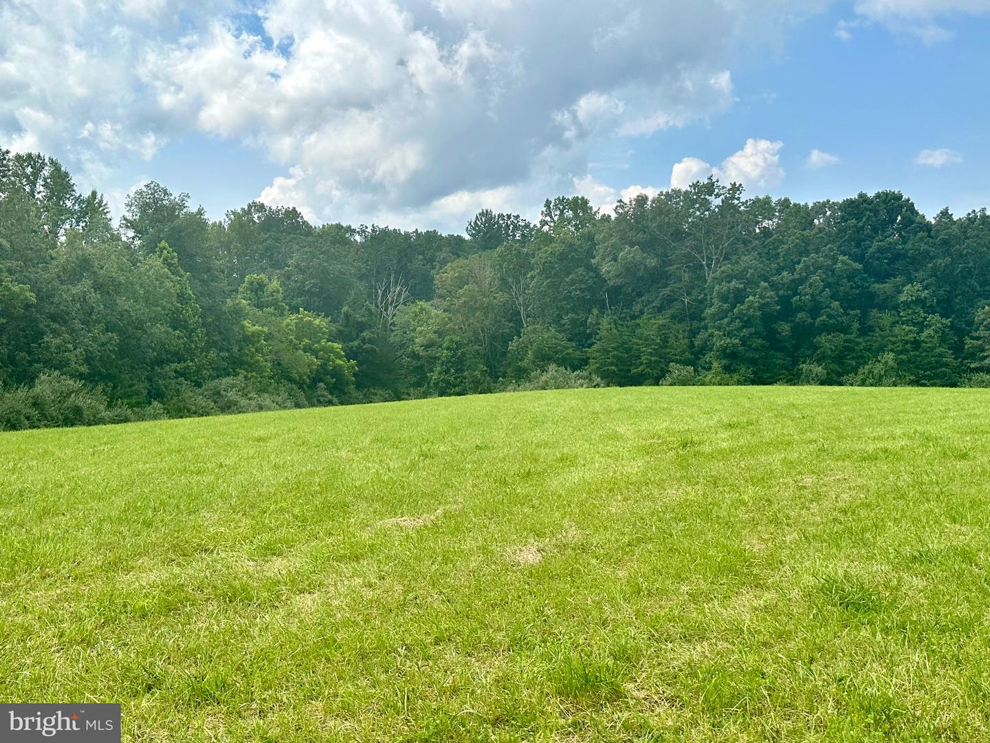 PARCEL 6-22A BLACK HILL RD., RIXEYVILLE, Virginia 22737, ,Land,For sale,PARCEL 6-22A BLACK HILL RD.,VACU2011030 MLS # VACU2011030