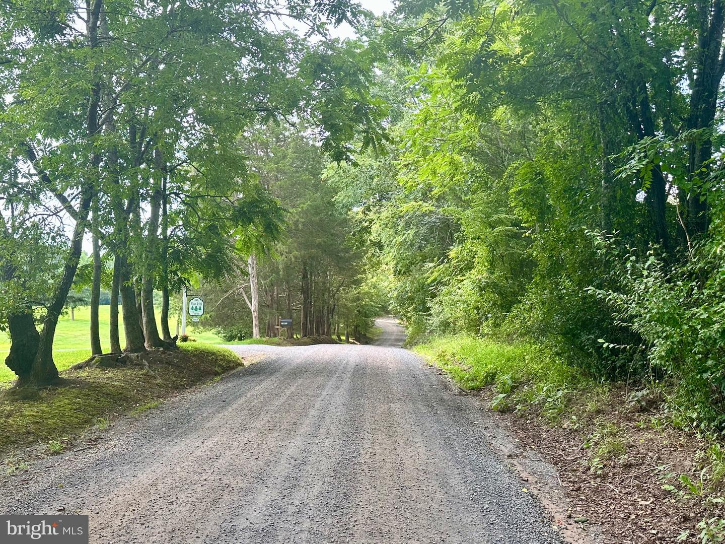PARCEL 6-22A BLACK HILL RD., RIXEYVILLE, Virginia 22737, ,Land,For sale,PARCEL 6-22A BLACK HILL RD.,VACU2011030 MLS # VACU2011030