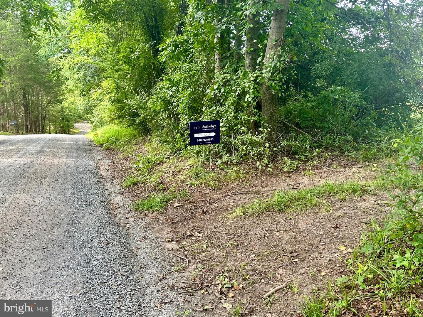 PARCEL 6-22A BLACK HILL RD., RIXEYVILLE, Virginia 22737, ,Land,For sale,PARCEL 6-22A BLACK HILL RD.,VACU2011030 MLS # VACU2011030