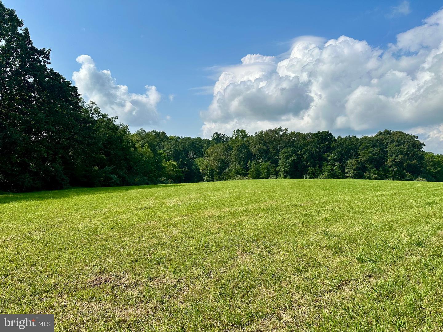 PARCEL 6-22A BLACK HILL RD., RIXEYVILLE, Virginia 22737, ,Land,For sale,PARCEL 6-22A BLACK HILL RD.,VACU2011030 MLS # VACU2011030