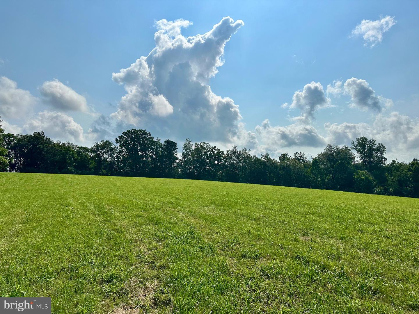 PARCEL 6-22A BLACK HILL RD., RIXEYVILLE, Virginia 22737, ,Land,For sale,PARCEL 6-22A BLACK HILL RD.,VACU2011030 MLS # VACU2011030