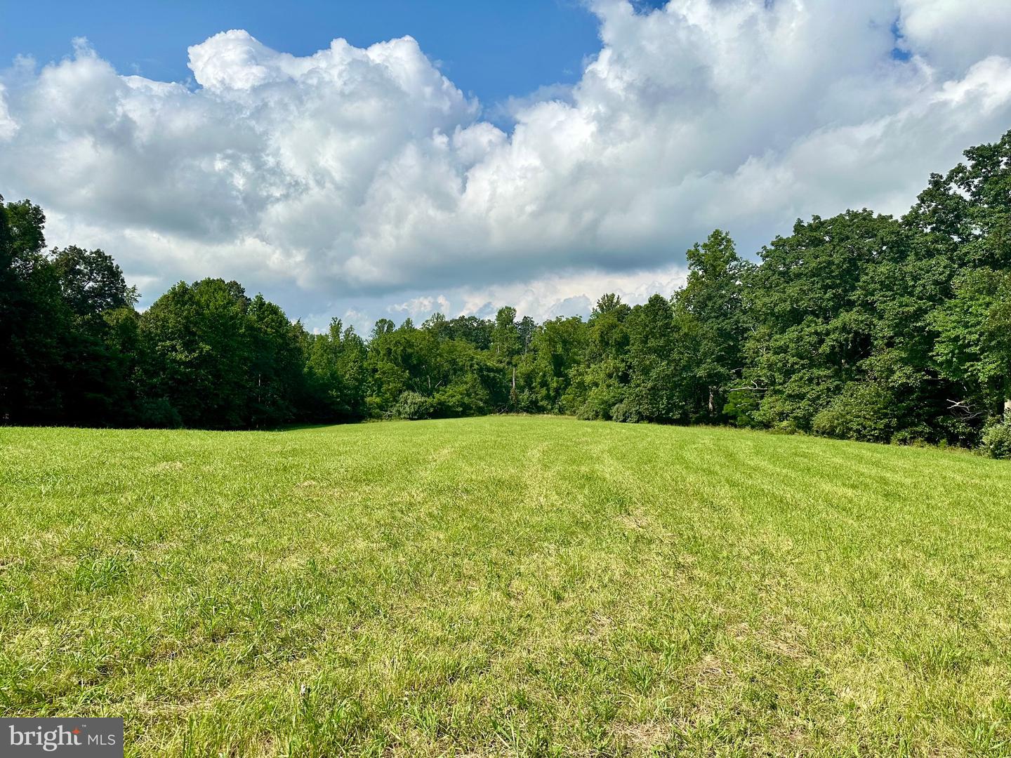 PARCEL 6-22A BLACK HILL RD., RIXEYVILLE, Virginia 22737, ,Land,For sale,PARCEL 6-22A BLACK HILL RD.,VACU2011030 MLS # VACU2011030