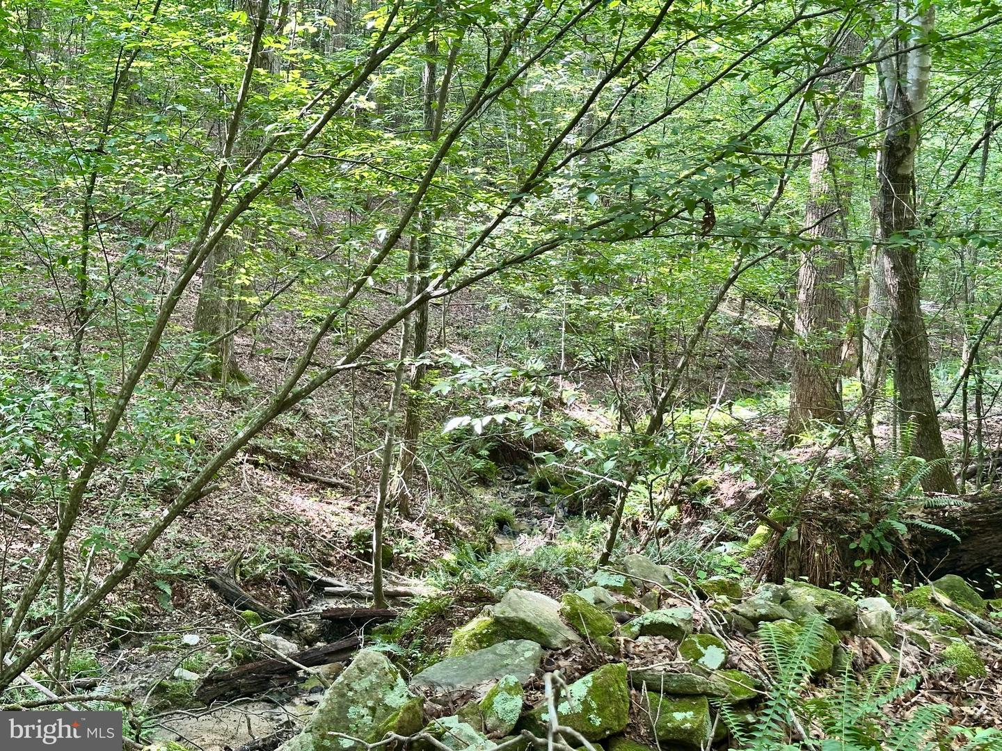 PARCEL 6-22A BLACK HILL RD., RIXEYVILLE, Virginia 22737, ,Land,For sale,PARCEL 6-22A BLACK HILL RD.,VACU2011030 MLS # VACU2011030