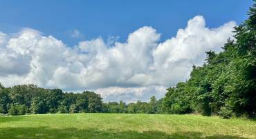 PARCEL 6-22A BLACK HILL RD., RIXEYVILLE, Virginia 22737, ,Land,For sale,PARCEL 6-22A BLACK HILL RD.,VACU2011030 MLS # VACU2011030