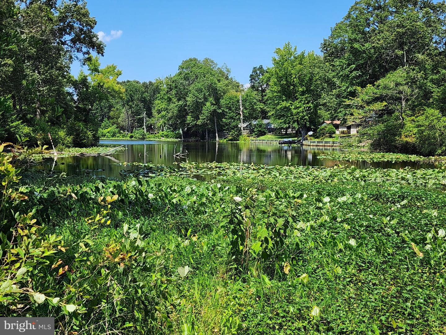 LOT 17 CHRYSTAL, COLONIAL BEACH, Virginia 22443, ,Land,For sale,LOT 17 CHRYSTAL,VAWE2009368 MLS # VAWE2009368