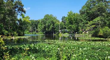 LOT 17 CHRYSTAL, COLONIAL BEACH, Virginia 22443, ,Land,For sale,LOT 17 CHRYSTAL,VAWE2009368 MLS # VAWE2009368