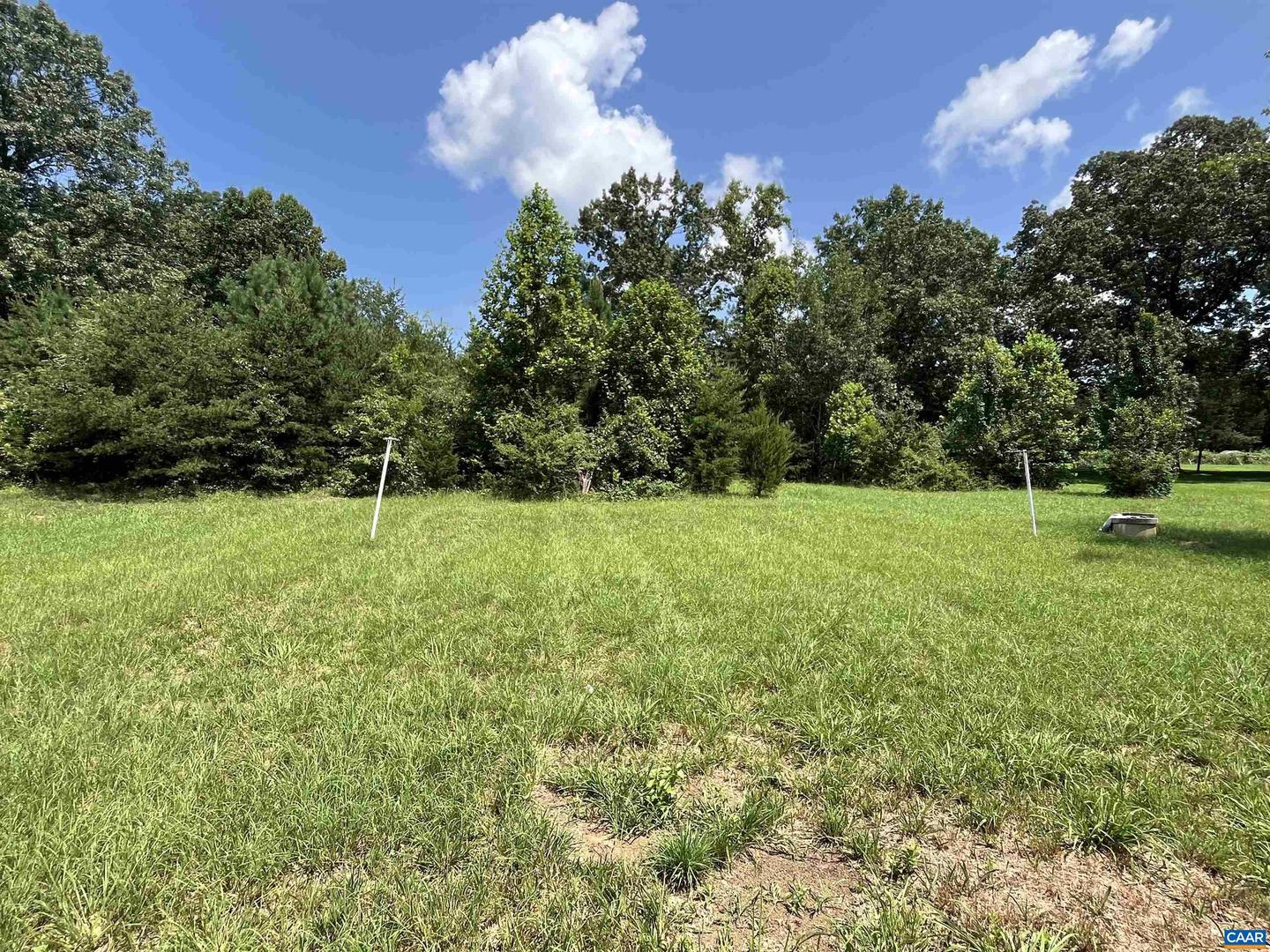25453 CONSTITUTION HWY, RHOADESVILLE, Virginia 22542, ,Land,For sale,25453 CONSTITUTION HWY,667142 MLS # 667142