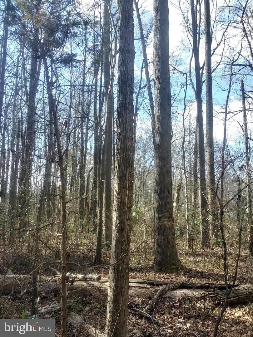 1591 NEW MARKET RD #LOT 2, RICHMOND, Virginia 23231, ,Land,For sale,1591 NEW MARKET RD #LOT 2,VAHN2001004 MLS # VAHN2001004