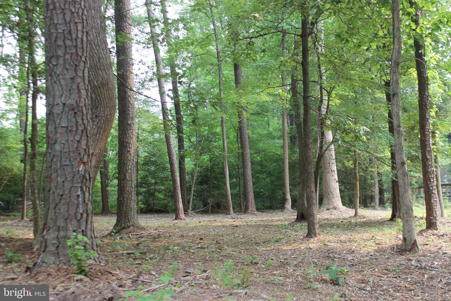 2106 BUCCANEER BLVD, GREENBACKVILLE, Virginia 23356, ,Land,For sale,2106 BUCCANEER BLVD,VAAC2002104 MLS # VAAC2002104