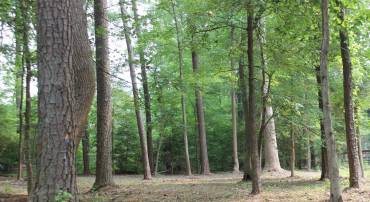 2106 BUCCANEER BLVD, GREENBACKVILLE, Virginia 23356, ,Land,For sale,2106 BUCCANEER BLVD,VAAC2002104 MLS # VAAC2002104