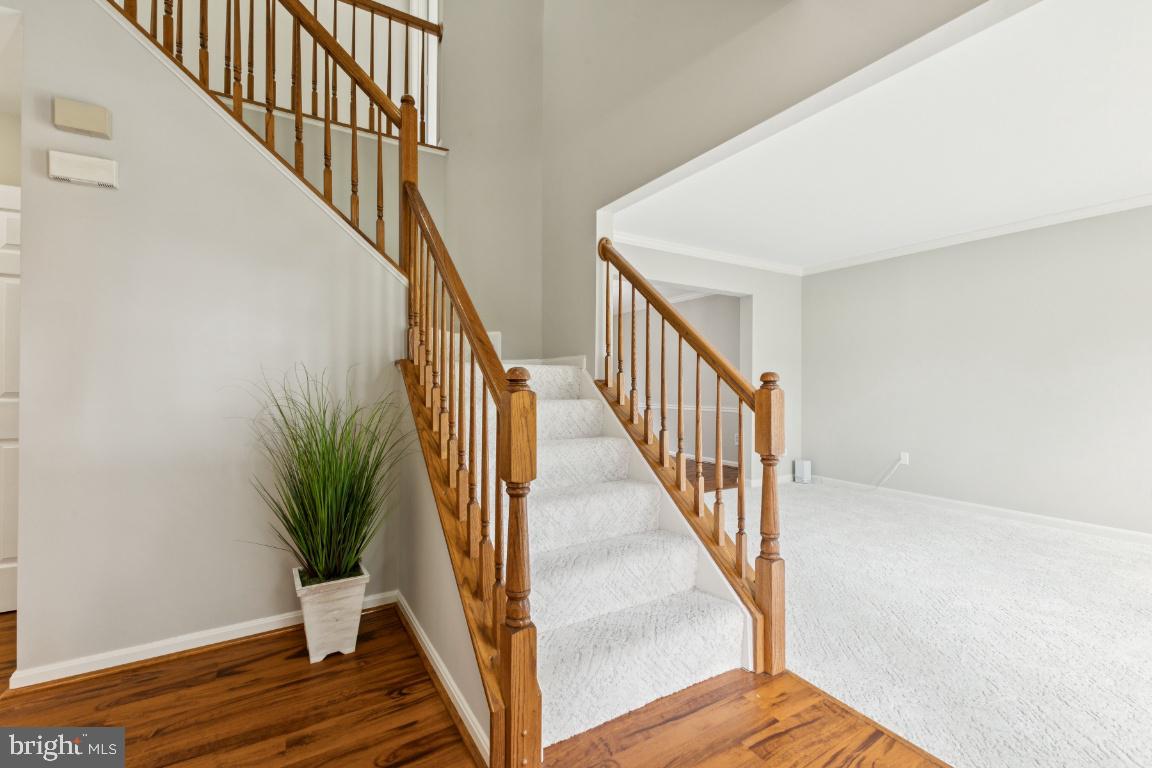 43225 CAVELL CT, LEESBURG, Virginia 20176, 4 Bedrooms Bedrooms, ,2 BathroomsBathrooms,Residential,For sale,43225 CAVELL CT,VALO2102540 MLS # VALO2102540