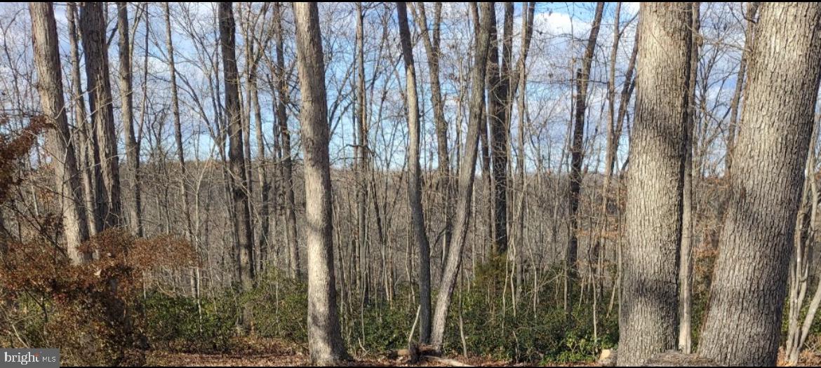 18184 CRAWFORD LN, GORDONSVILLE, Virginia 22942, 4 Bedrooms Bedrooms, ,3 BathroomsBathrooms,Residential,For sale,18184 CRAWFORD LN,VAOR2010236 MLS # VAOR2010236