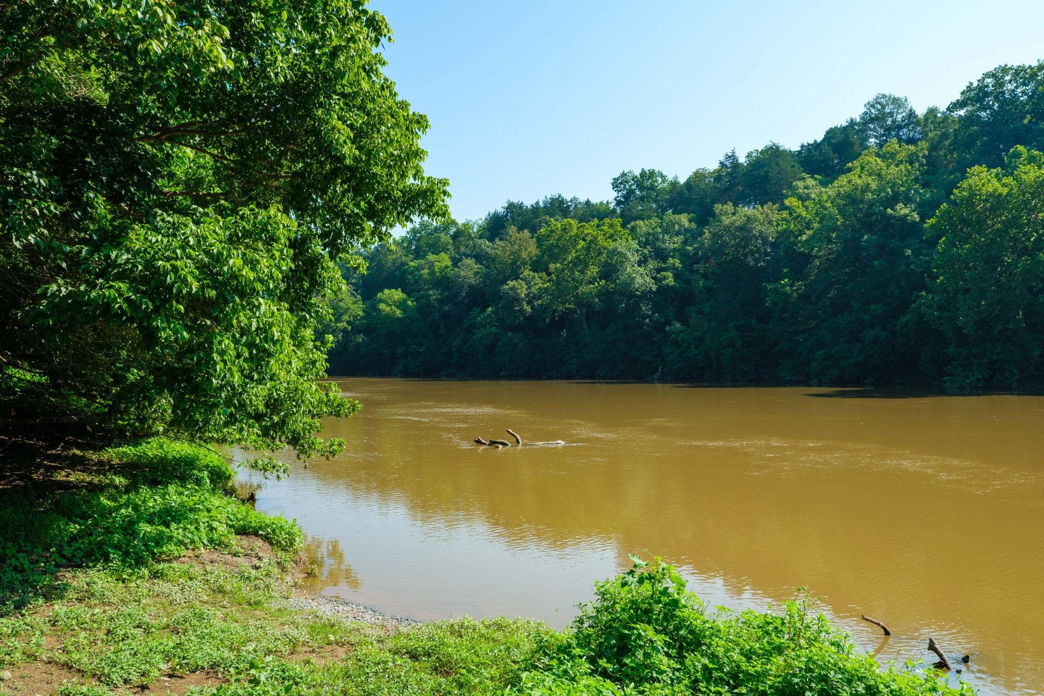 Lot 13 LAZY RIVER EAST RD, LURAY, Virginia 22835, ,Land,Lot 13 LAZY RIVER EAST RD,667154 MLS # 667154