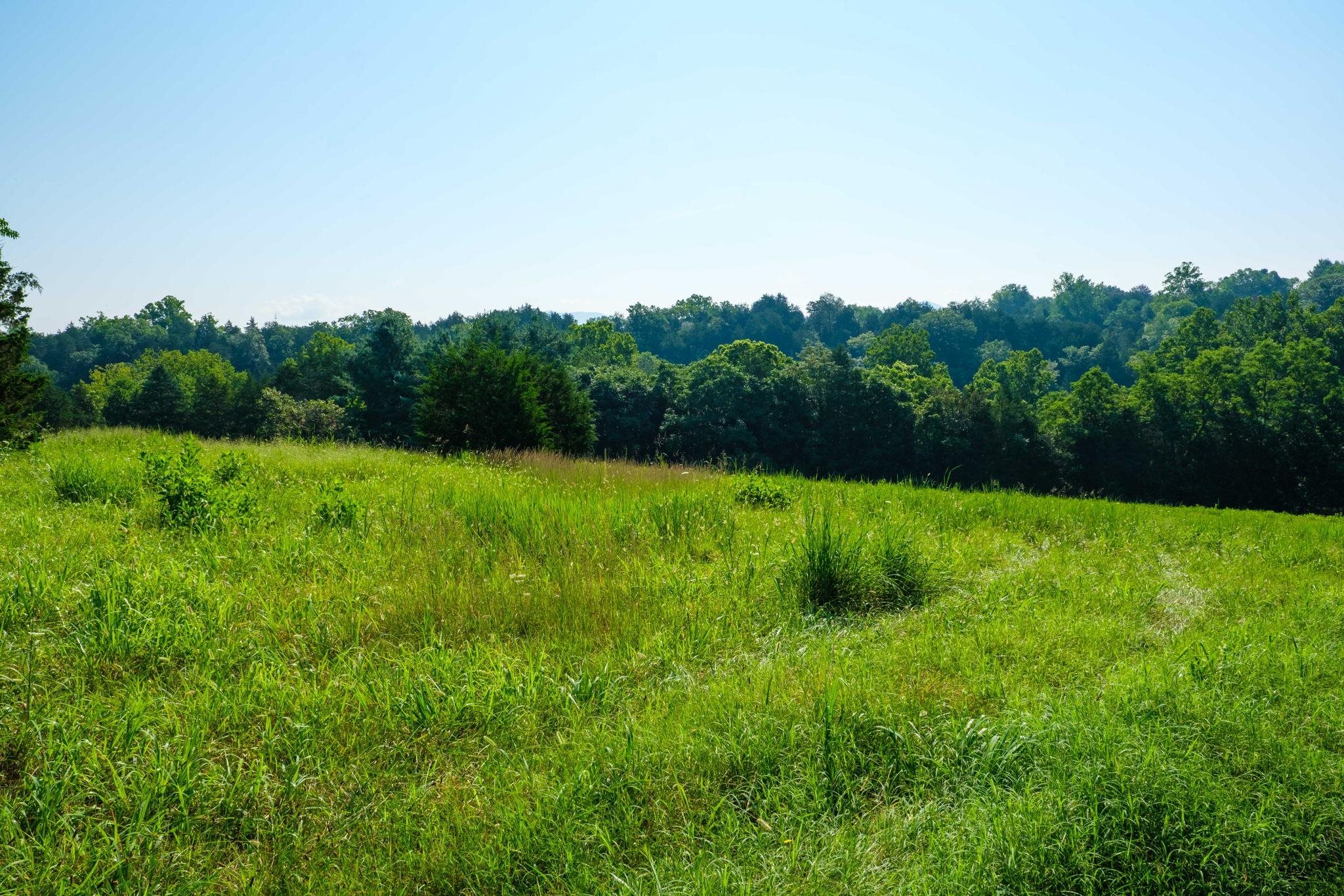 Lot 13 LAZY RIVER EAST RD, LURAY, Virginia 22835, ,Land,Lot 13 LAZY RIVER EAST RD,667154 MLS # 667154
