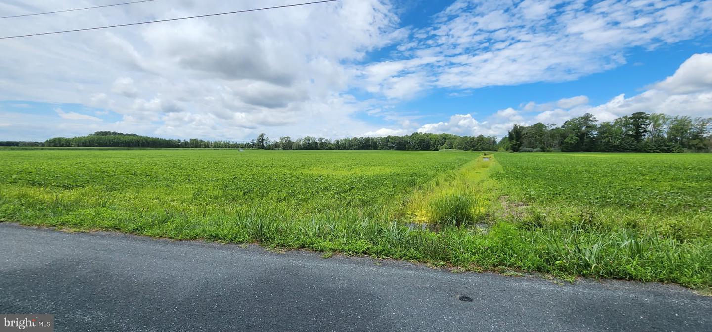 BULLBEGGER RD, WITHAMS, Virginia 23488, ,Land,For sale,BULLBEGGER RD,VAAC2002106 MLS # VAAC2002106