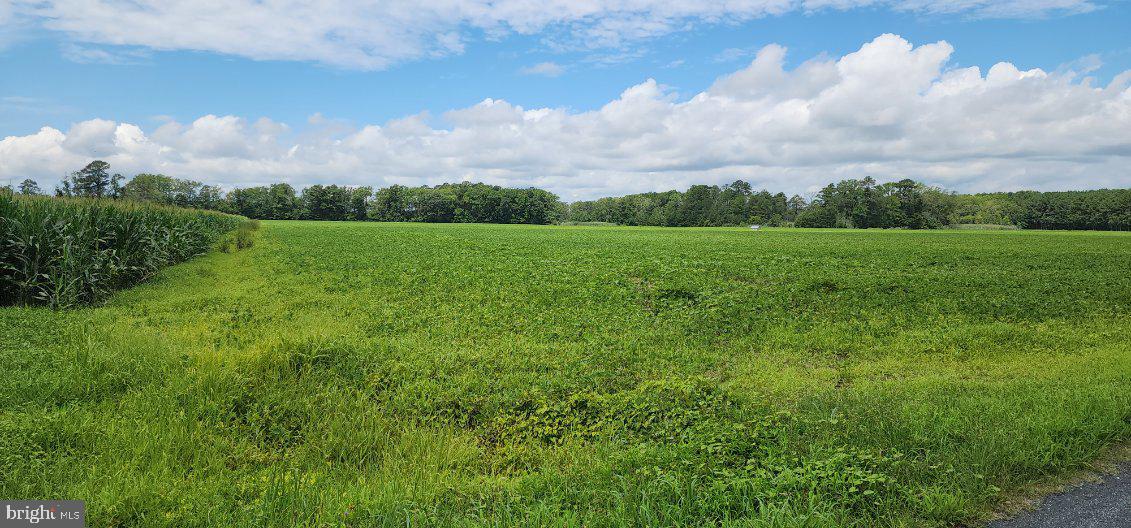 BULLBEGGER RD, WITHAMS, Virginia 23488, ,Land,For sale,BULLBEGGER RD,VAAC2002106 MLS # VAAC2002106