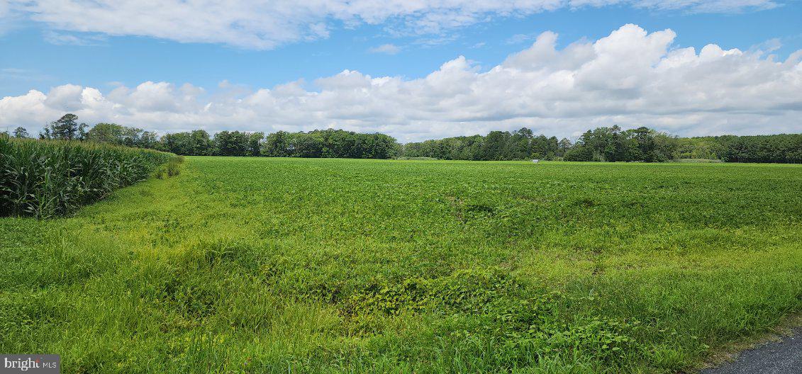 BULLBEGGER RD, WITHAMS, Virginia 23488, ,Land,For sale,BULLBEGGER RD,VAAC2002106 MLS # VAAC2002106