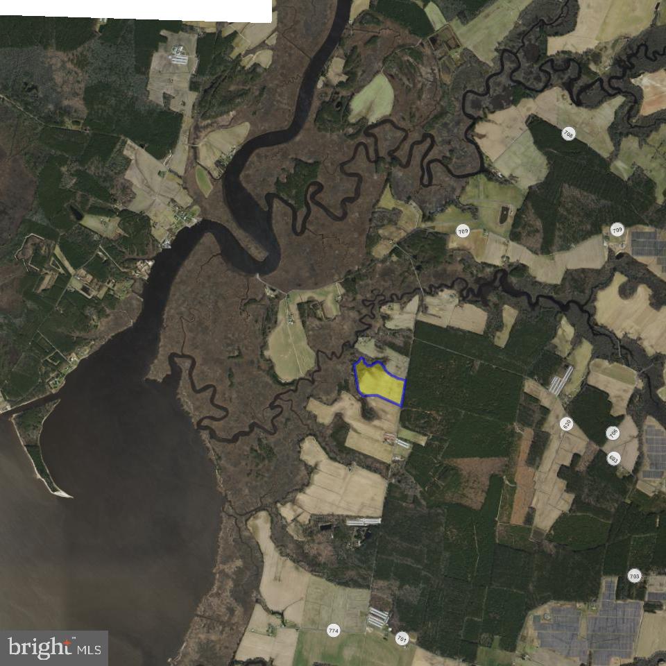 BULLBEGGER RD, WITHAMS, Virginia 23488, ,Land,For sale,BULLBEGGER RD,VAAC2002106 MLS # VAAC2002106