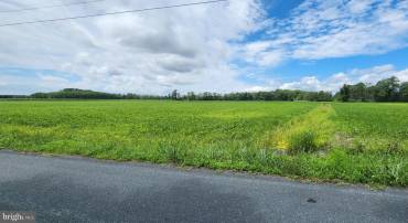BULLBEGGER RD, WITHAMS, Virginia 23488, ,Land,For sale,BULLBEGGER RD,VAAC2002106 MLS # VAAC2002106