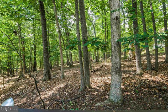 409 CUB LN, MCGAHEYSVILLE, Virginia 22840, 3 Bedrooms Bedrooms, ,2 BathroomsBathrooms,Residential,For sale,409 CUB LN,VARO2002460 MLS # VARO2002460