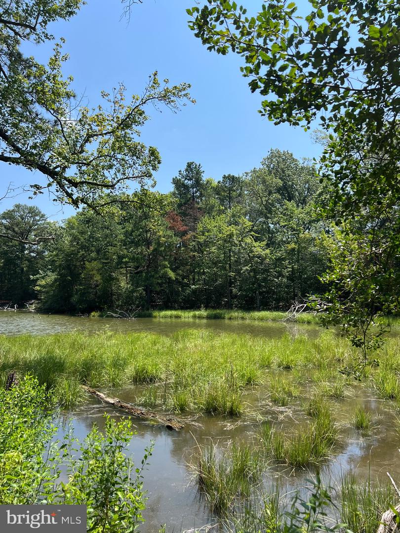 TBD LOT 28 SOUTH GLEBE RD, MONTROSS, Virginia 22520, 3 Bedrooms Bedrooms, ,2 BathroomsBathrooms,Residential,For sale,TBD LOT 28 SOUTH GLEBE RD,VAWE2009364 MLS # VAWE2009364
