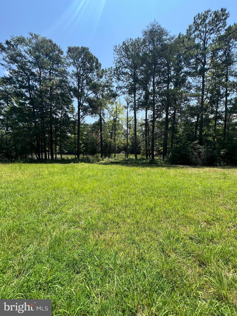 TBD LOT 28 SOUTH GLEBE RD, MONTROSS, Virginia 22520, 3 Bedrooms Bedrooms, ,2 BathroomsBathrooms,Residential,For sale,TBD LOT 28 SOUTH GLEBE RD,VAWE2009364 MLS # VAWE2009364