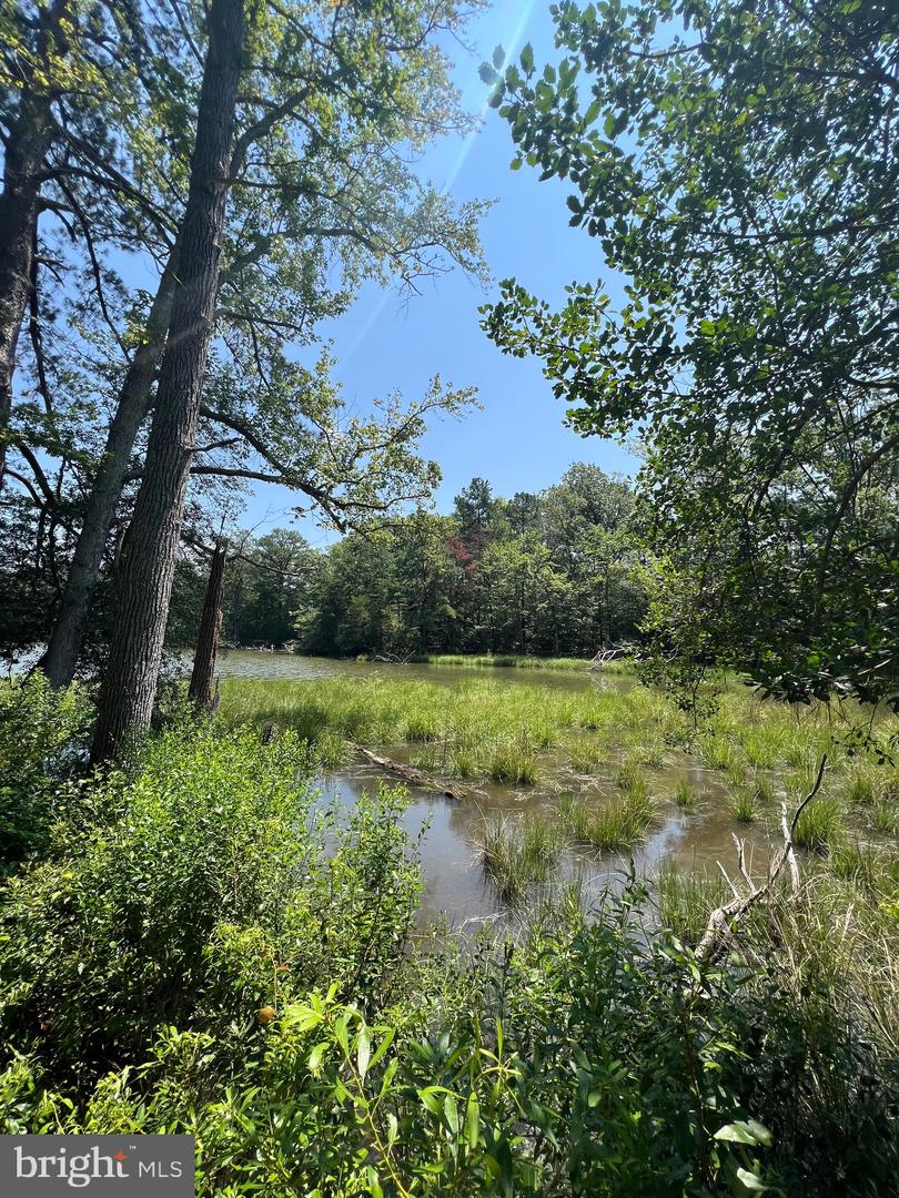 TBD LOT 28 SOUTH GLEBE RD, MONTROSS, Virginia 22520, 3 Bedrooms Bedrooms, ,2 BathroomsBathrooms,Residential,For sale,TBD LOT 28 SOUTH GLEBE RD,VAWE2009364 MLS # VAWE2009364