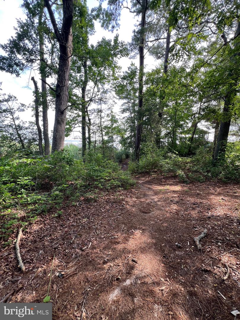TBD LOT 28 SOUTH GLEBE RD, MONTROSS, Virginia 22520, 3 Bedrooms Bedrooms, ,2 BathroomsBathrooms,Residential,For sale,TBD LOT 28 SOUTH GLEBE RD,VAWE2009364 MLS # VAWE2009364