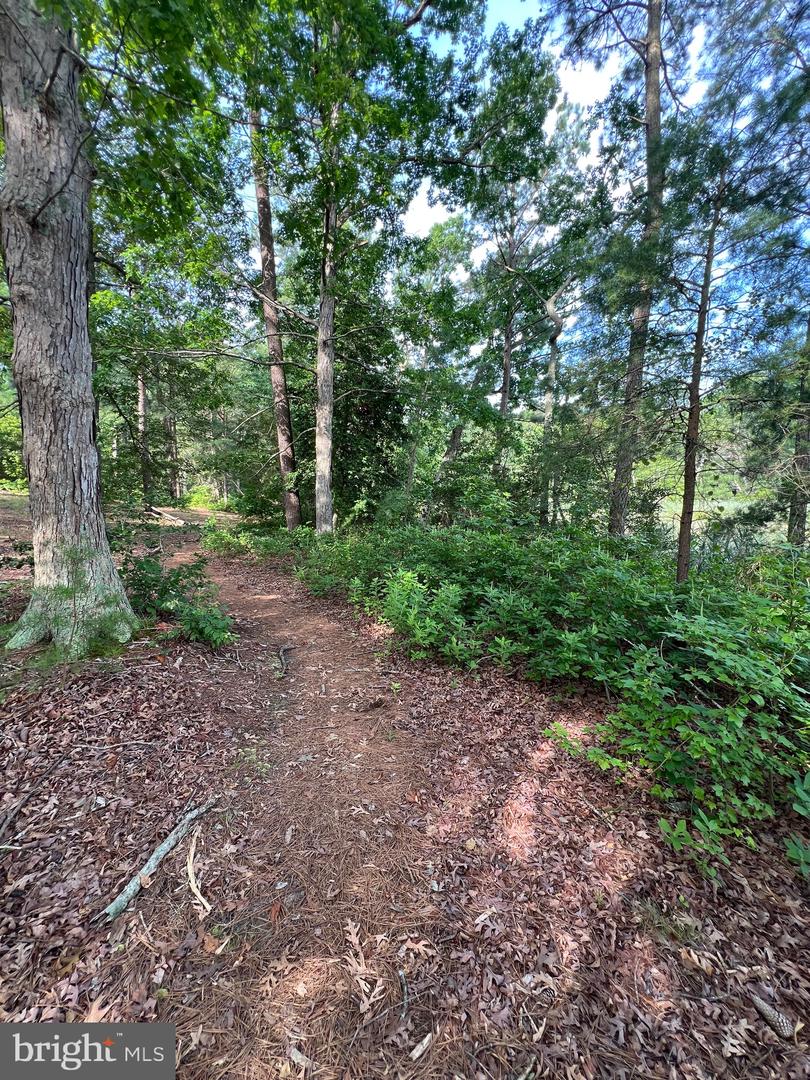 TBD LOT 28 SOUTH GLEBE RD, MONTROSS, Virginia 22520, 3 Bedrooms Bedrooms, ,2 BathroomsBathrooms,Residential,For sale,TBD LOT 28 SOUTH GLEBE RD,VAWE2009364 MLS # VAWE2009364