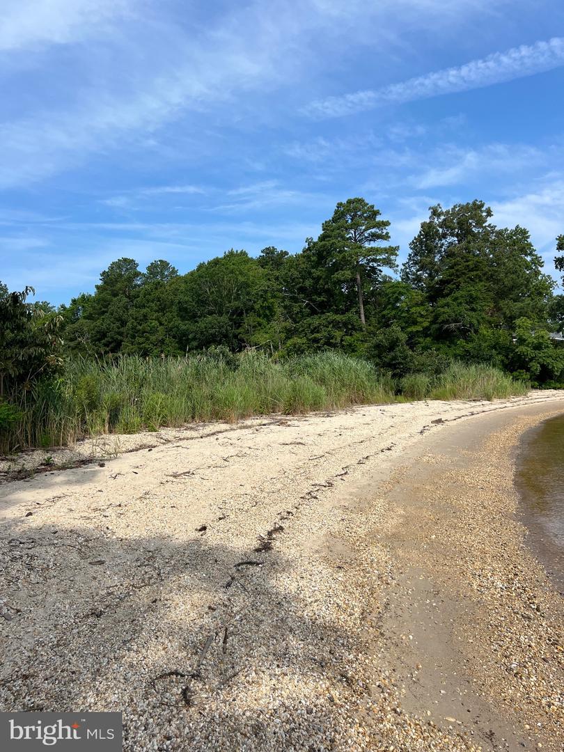 TBD LOT 28 SOUTH GLEBE RD, MONTROSS, Virginia 22520, 3 Bedrooms Bedrooms, ,2 BathroomsBathrooms,Residential,For sale,TBD LOT 28 SOUTH GLEBE RD,VAWE2009364 MLS # VAWE2009364
