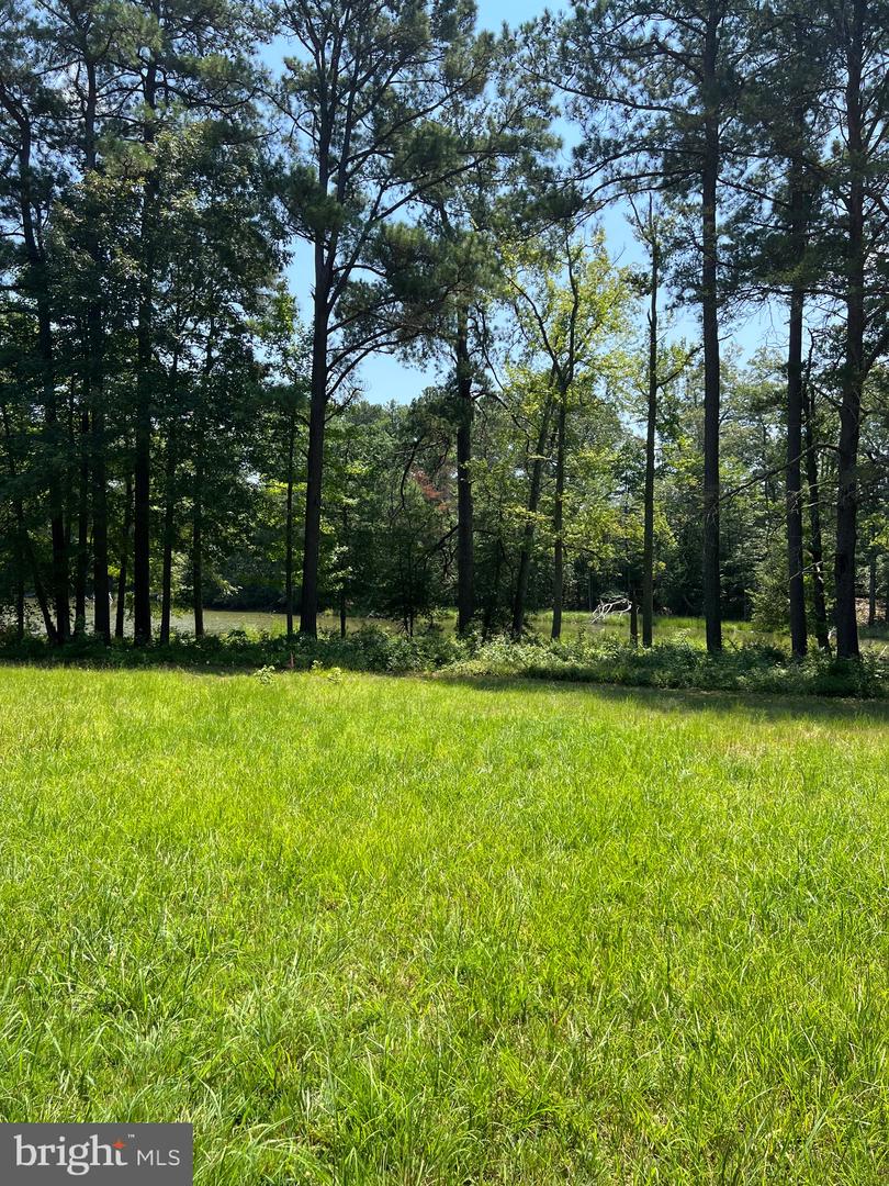 TBD LOT 28 SOUTH GLEBE RD, MONTROSS, Virginia 22520, 3 Bedrooms Bedrooms, ,2 BathroomsBathrooms,Residential,For sale,TBD LOT 28 SOUTH GLEBE RD,VAWE2009364 MLS # VAWE2009364