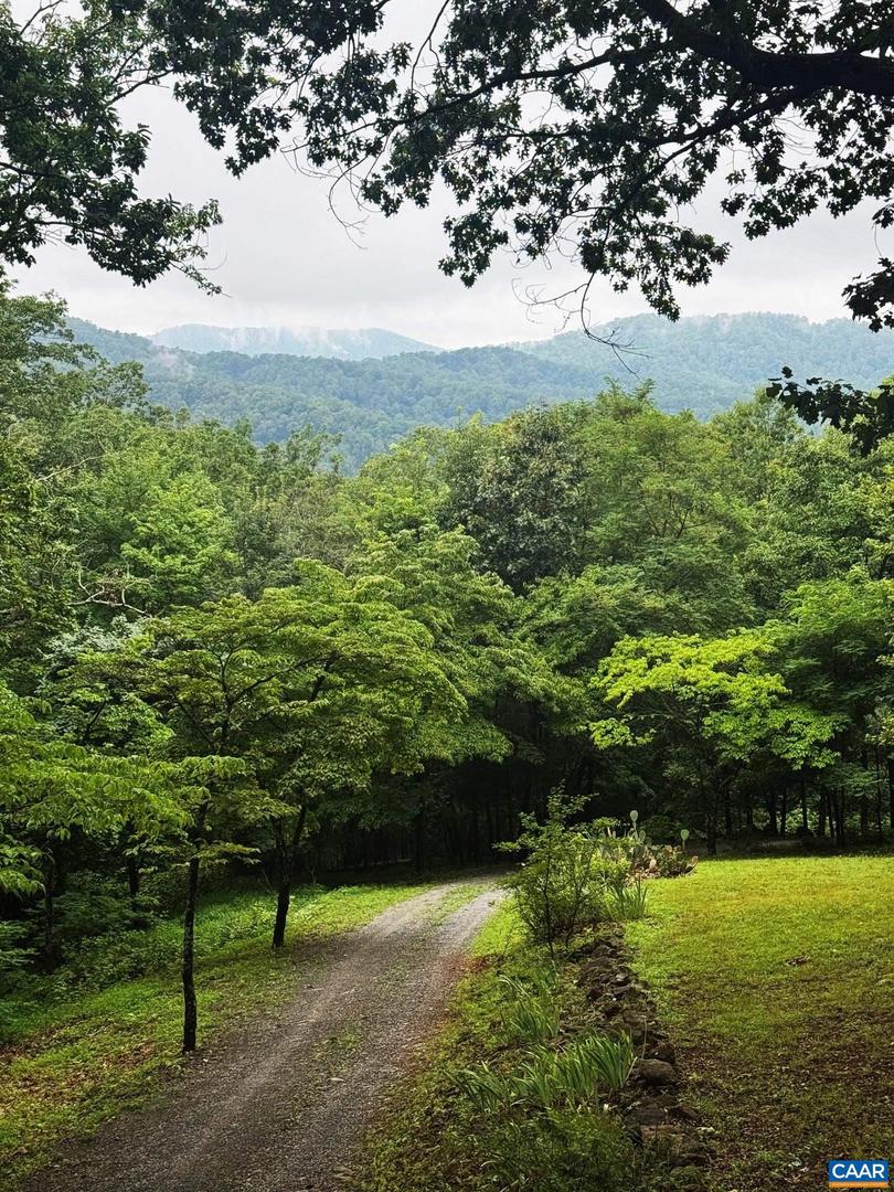 1950 LOCUST HOLLOW RD, CHARLOTTESVILLE, Virginia 22903, 3 Bedrooms Bedrooms, ,2 BathroomsBathrooms,Residential,For sale,1950 LOCUST HOLLOW RD,667156 MLS # 667156