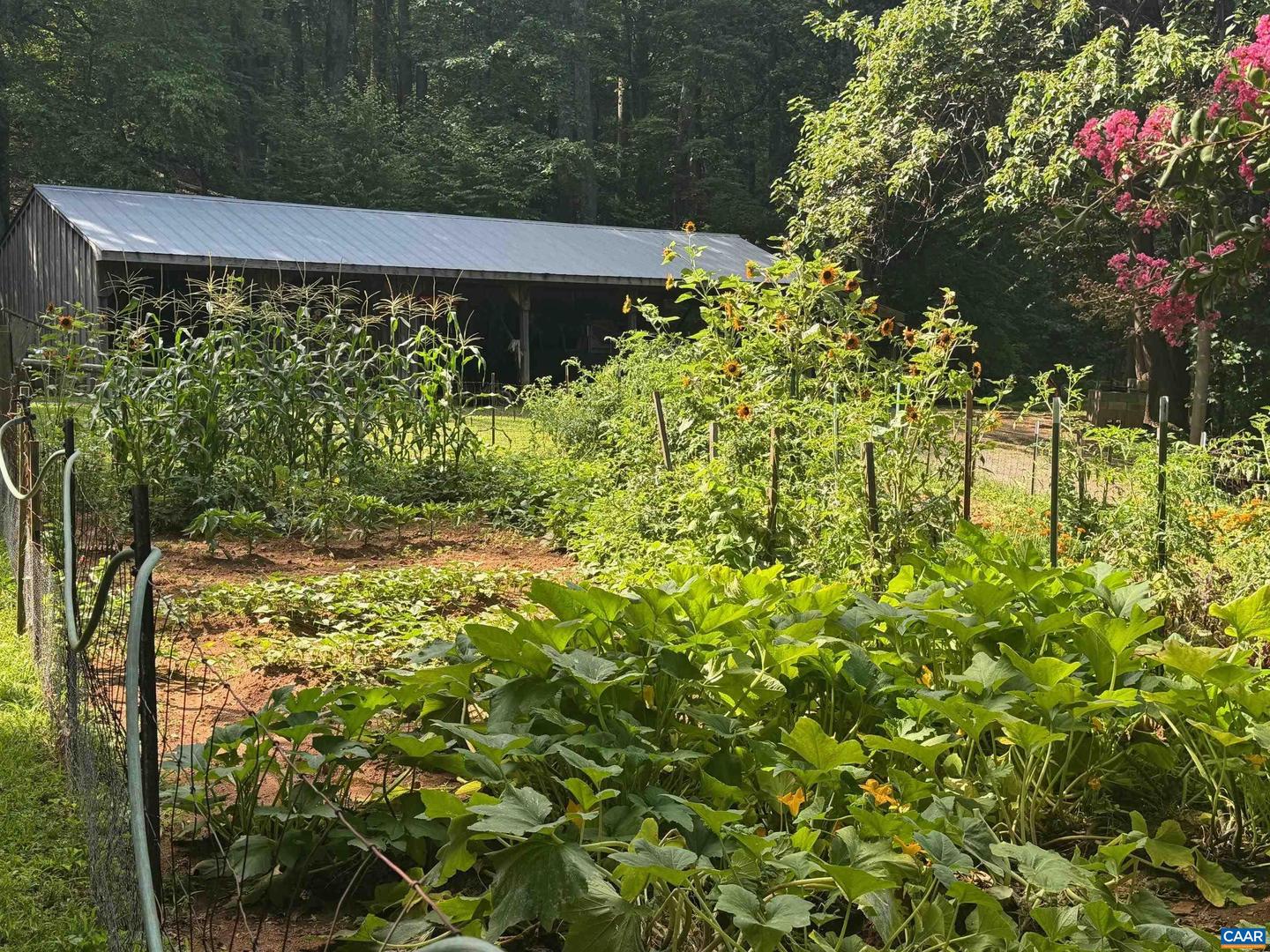1950 LOCUST HOLLOW RD, CHARLOTTESVILLE, Virginia 22903, 3 Bedrooms Bedrooms, ,2 BathroomsBathrooms,Residential,For sale,1950 LOCUST HOLLOW RD,667156 MLS # 667156