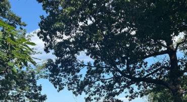 1950 LOCUST HOLLOW RD, CHARLOTTESVILLE, Virginia 22903, 3 Bedrooms Bedrooms, ,2 BathroomsBathrooms,Residential,For sale,1950 LOCUST HOLLOW RD,667156 MLS # 667156