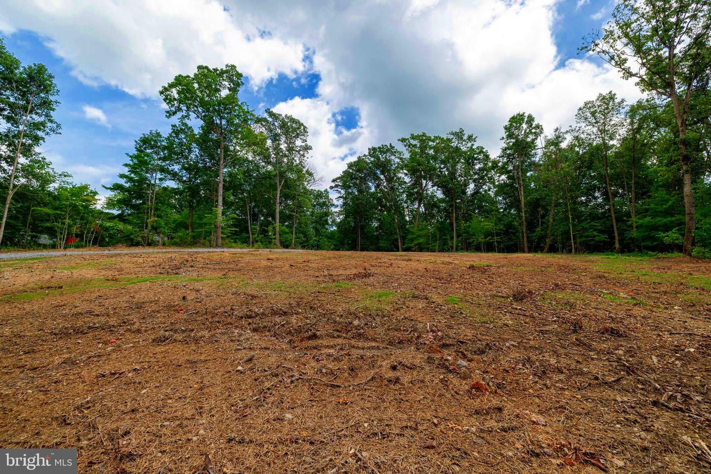 14 MONT VIEW LN, LURAY, Virginia 22835, ,Land,For sale,14 MONT VIEW LN,VAPA2005130 MLS # VAPA2005130