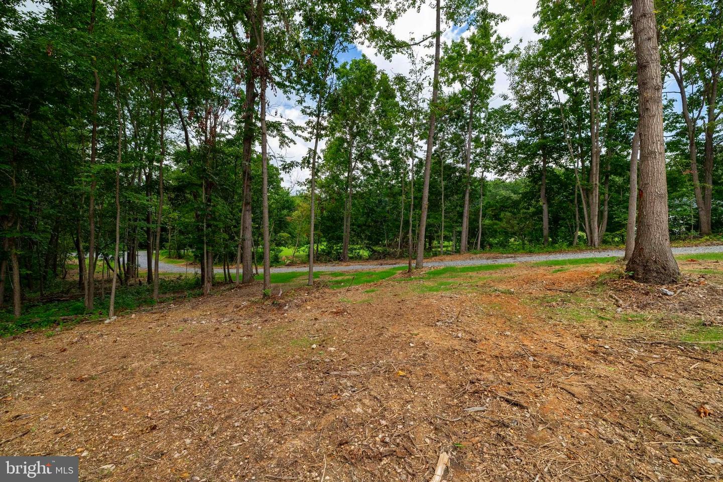 14 MONT VIEW LN, LURAY, Virginia 22835, ,Land,For sale,14 MONT VIEW LN,VAPA2005130 MLS # VAPA2005130