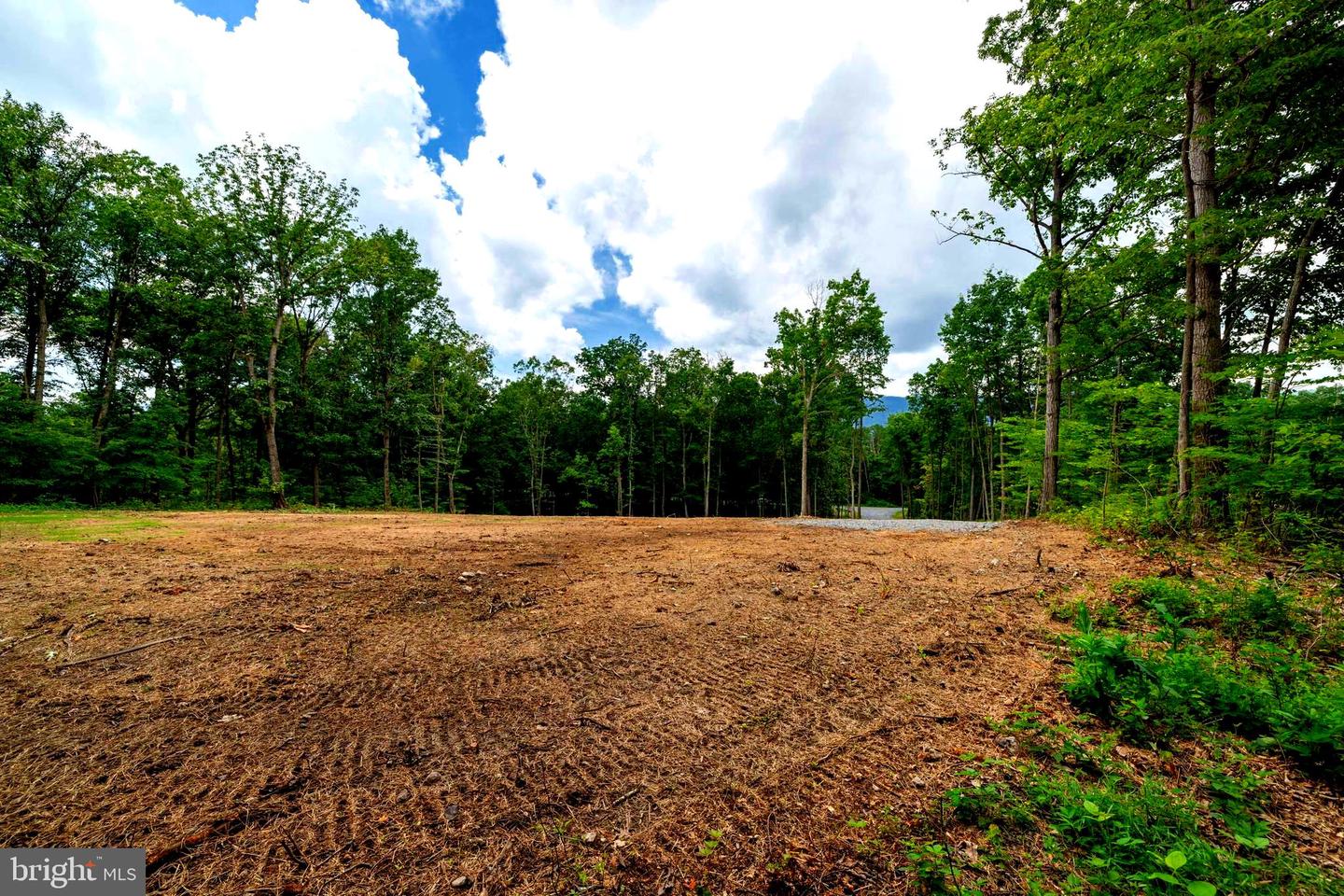 14 MONT VIEW LN, LURAY, Virginia 22835, ,Land,For sale,14 MONT VIEW LN,VAPA2005130 MLS # VAPA2005130